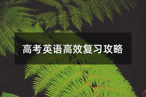 �߿�Ӣ�Z��Ч��������