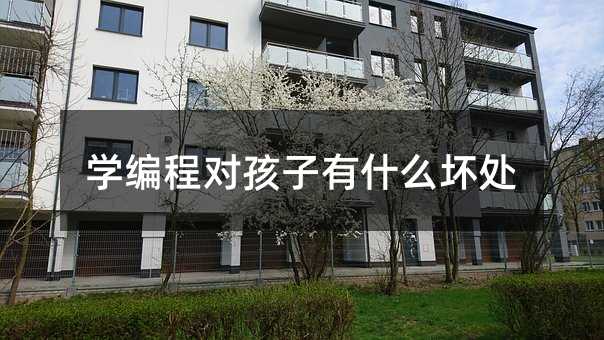 �W(xu��)���̌�������ʲô��̎