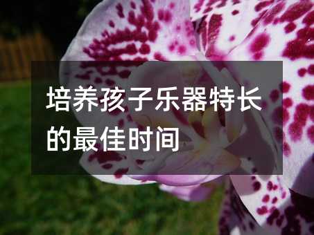 ���B���Ә������L����ѕr�g