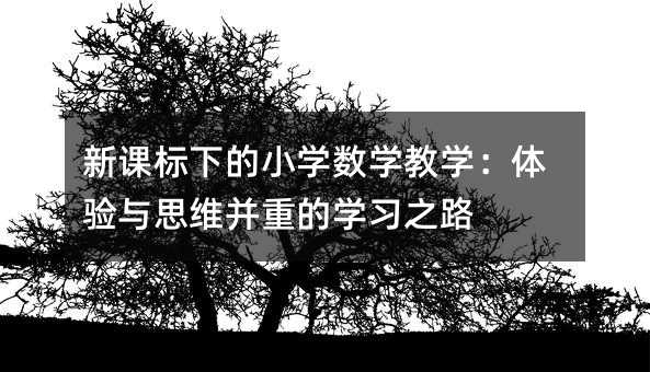 ���n���µ�С�W��(sh��)�W�̌W���w��c˼�S���صČW��֮·