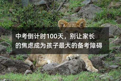 �п���Ӌ(j��)�r(sh��)100�죬�e׌���L�Ľ��]�ɞ麢�����Ă俼�ϵK