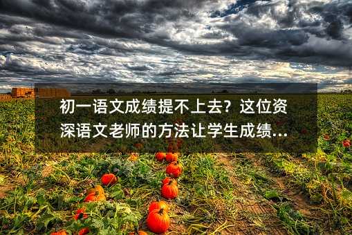 ��һ�Z�ĳɿ��᲻��ȥ���@λ�Y���Z���ώ��ķ���׌�W���ɿ����q