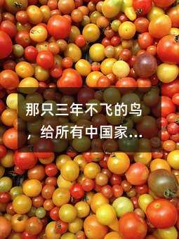 ��ֻ���겻�w���B���o�����Ї����L����һ�n