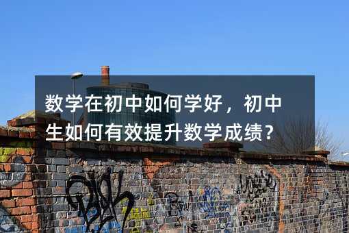 ��(sh��)�W(xu��)�ڳ�����ΌW(xu��)�ã������������Ч������(sh��)�W(xu��)�ɿ�(j��)��