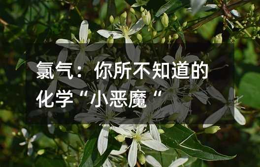 �Ț⣺������֪���Ļ��W(xu��)��С��ħ��