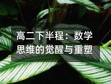 �߶��°�̣����W˼�S���X���c����