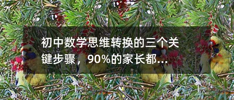 ���Д��W˼�S�D�Q�������P�I���E��90%�ļ��L��������