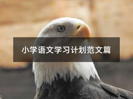 С�W�Z�ČW��Ӌ������ƪ