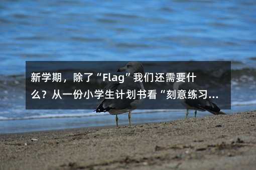 �W(xu��)�������ˡ�Flag���҂�߀��Ҫʲô����һ��С�W(xu��)��Ӌ(j��)����(sh��)�������⾚��(x��)���c���J(r��n)֪����(j��)�������x