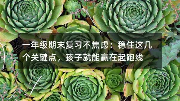 һ�꼉��ĩ���������]����ס�@�ׂ��P�I�c�����Ӿ����A�����ܾ�