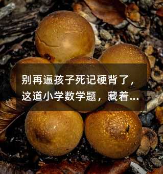 �e�ٱƺ�����ӛӲ���ˣ��@��С�W���W�}����������һ����피�˼�S