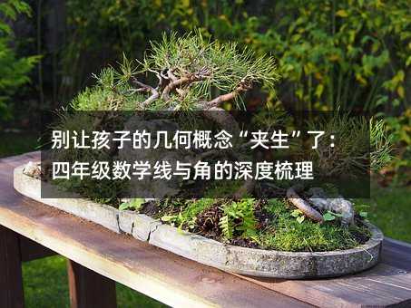 �e׌���ӵĎ׺θ���A�����ˣ����꼉���W���c�ǵ��������