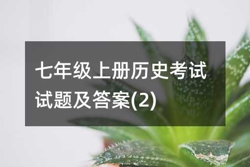 ���꼉�σԚvʷ��ԇԇ�}����(2)