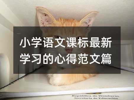 С�W�Z���n�����W�����ĵ÷���ƪ