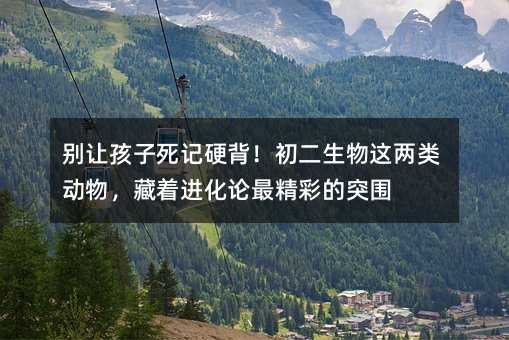 �e׌������ӛӲ�������������@���(l��i)��(d��ng)������M(j��n)��Փ��ʵ�ͻ��