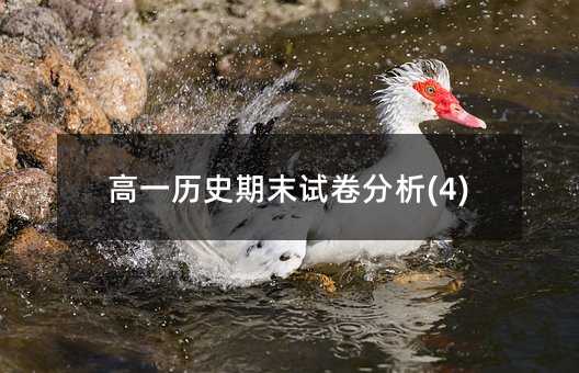 ��һ�vʷ��ĩԇ������(4)