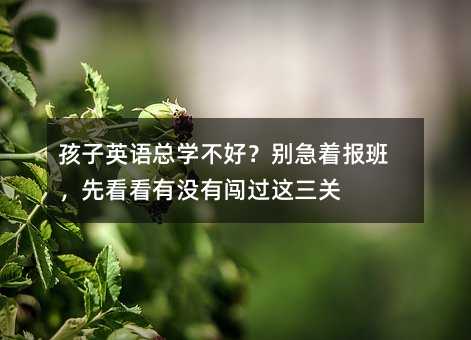 ����Ӣ�Z���W���ã��e������࣬�ȿ����Л]���J�^�@���P