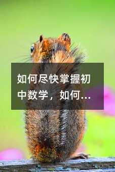 ��αM�����ճ��Д�(sh��)�W(xu��)����ο������ճ��Д�(sh��)�W(xu��)���P(gu��n)�I�����Ͳ��ԣ�