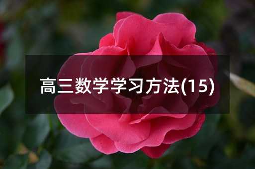 �������W�W������(15)