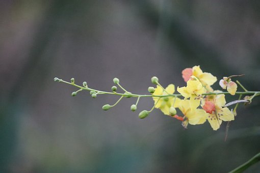 �ͱP��ˇ�g����һ�ݡ��������������u�rՄ��