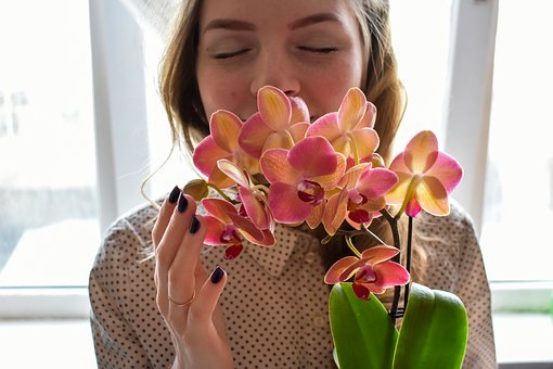 ���������rҪע�؜ʴ_�Ժ���Ч�ԣ����о���...