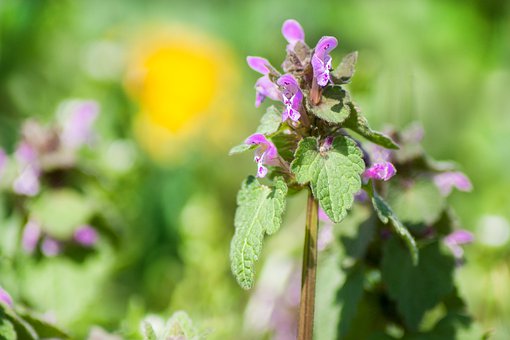 4�yӋ����֪�R