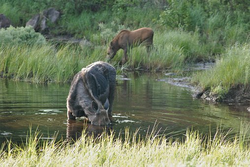 (1)�����x���ɂ�������|�����w��������Ҫ...