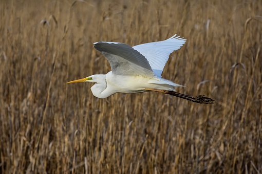 �����A�εĺ��ӣ����Lԓ��κͺ�����̎