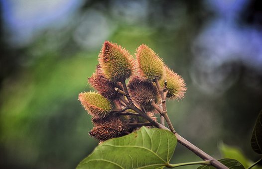 2026�п�������˼���c�D(zhu��n)׃