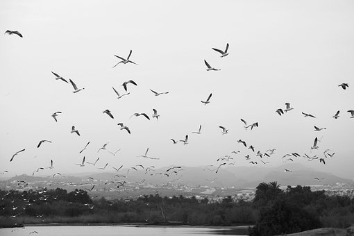 �����ęz�(y��n)��(bi��o)��(zh��n)����(sh��)�`�еĽ^��(du��)�c����(du��)