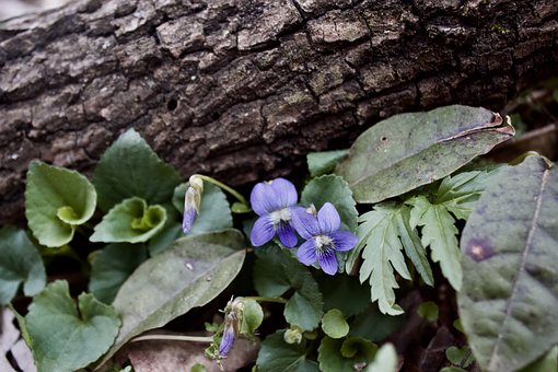 �Α�ăr(ji��)ֵ�ͽ������x