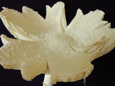 ���Rδ��(d��ng)�Z�����У���W(xu��)�����ҽ���νo���L(zh��ng)��һ��(g��)�õĵ�һӡ��