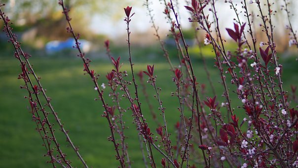 ���������ⲻ���㣬���L�@�������ǡ��Ʊ����P(gu��n)�I