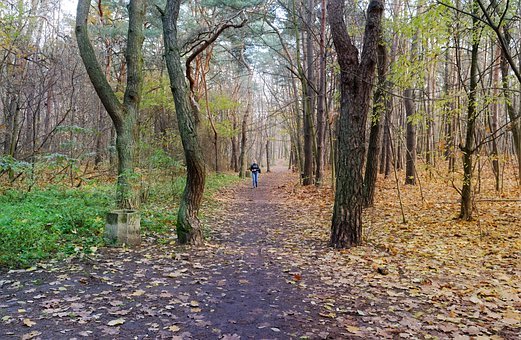 ��̖(h��o)������ܣ���ξ���(zh��n)�{�S���Z(y��)�ľ��߉݋߅��