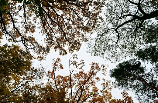 �߿����30���������(f��)��(x��)�ĺ��Ĳ����c��(sh��)��(zh��n)��(j��ng)�(y��n)