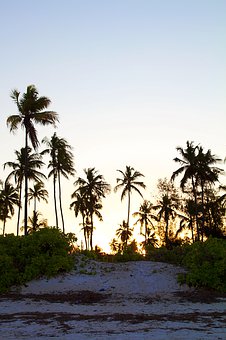 �������Ӳ���ȥ�W(xu��)У��ô�k