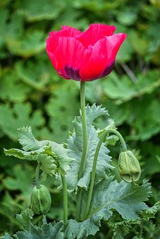 2009�걱���п��ӷ��Y���J��5��15�ս�ֹ