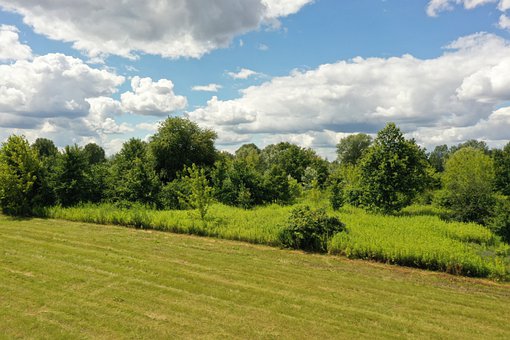 ���Д�(sh��)�W(xu��)��Ƭ��ʽ����Щ�����Д�(sh��)�W(xu��)�У���Щ��ʽ�Ǳ�����ղ������ɿ�Ƭ�Ա��S�r(sh��)��(f��)��(x��)�ģ�