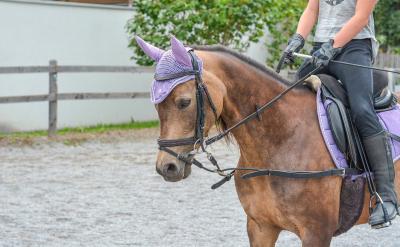 �ڌW(xu��)���_չ�����W(xu��)��(x��)�r���ώ�Ҫ���c���W(xu��)����...