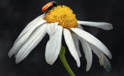 �塢��չ��Ȥζ���x��Vϵ