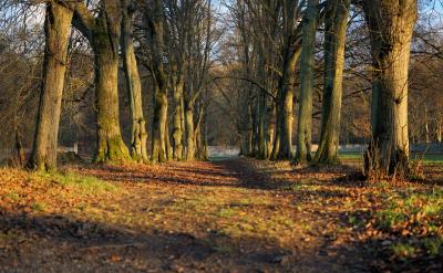 20. ͼ��A��Һ�ɳ�ȥ���������е�����;...