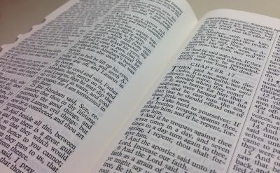 ���׵�����ȫ����|(zh��)�ݻ��ĽY(ji��)�����ڃ�(n��i)��I��...