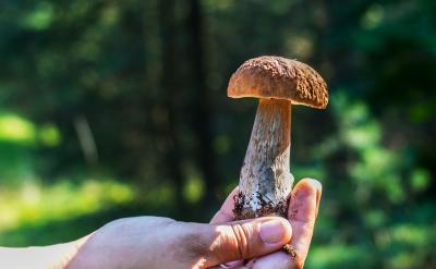 ���ߣ�ʹ�Õr(sh��)�g�������ߣ����ճ̱�����k��...