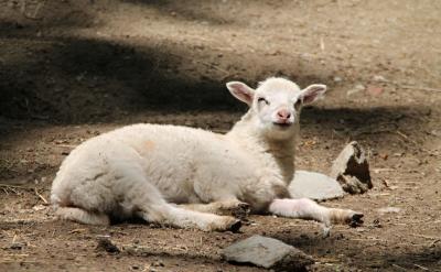 ͬ�r������������Ҳ�����˸����I�ȡ�����...