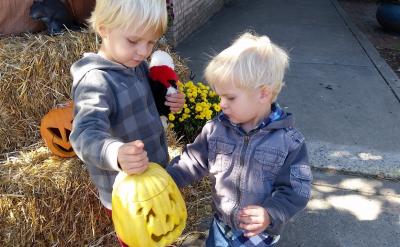 �����������ҵ�˹����f�^����������ˇ�g...